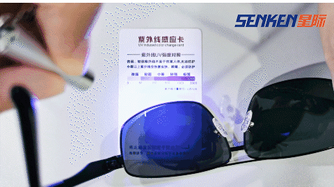 SENKEN SUNGLASSES (5).png
