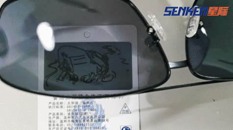 SENKEN SUNGLASSES (3).png