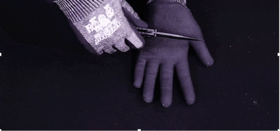 QQ图片20240131174245